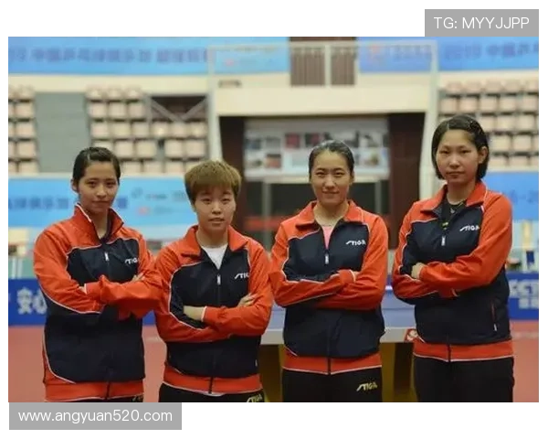 武汉乒乓球队实力对比深度解析及发展前景展望